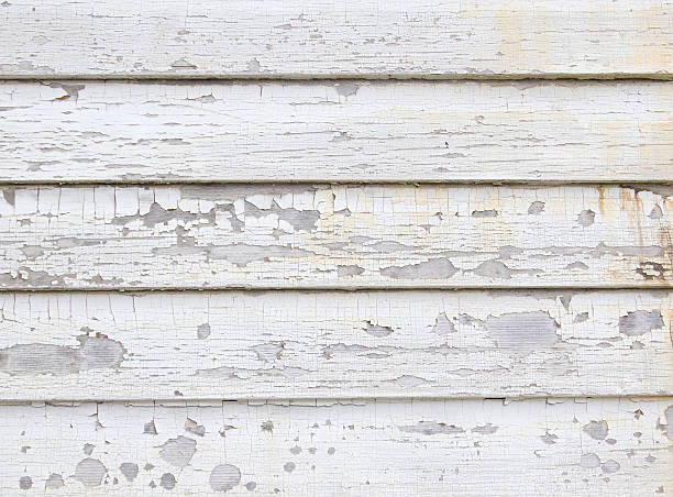 Affordable Siding Repair and Maintenance Services in Ripley, OH