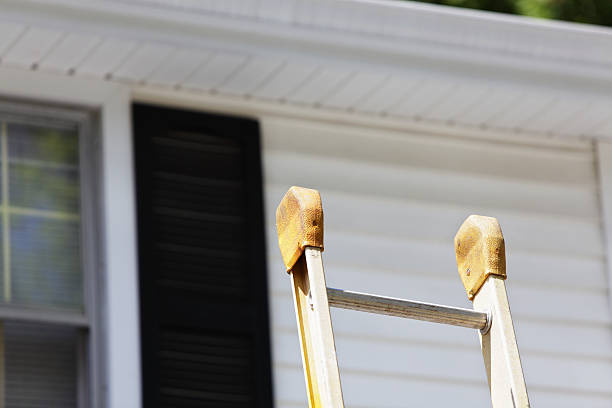 Best Storm Damage Siding Repair  in Ripley, OH